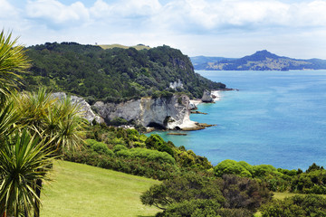 neuseeland, Cathedral cove
