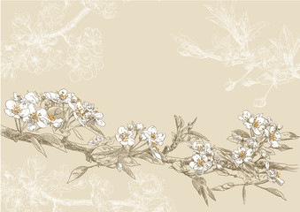 Hand drawing card flower background