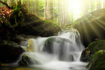 Waterfall on the White creek -  Sumava , Czech Republic