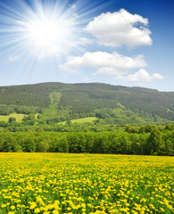 national park Sumava - Czech Republic