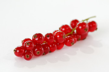 Rote Johannisbeeren vor weissem Hintergrund, Freisteller