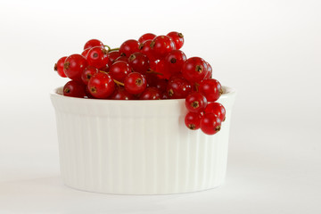 Rote Johannisbeeren in einer weissen Schale. Freisteller