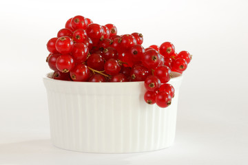 Rote Johannisbeeren in einer weissen Schale. Freisteller
