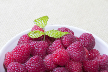 raspberries in a white bowl on a light background