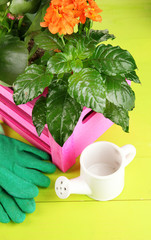 Beautiful flowers in pots on wooden table close-up