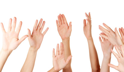 Many hands of participation isolated on white