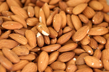 Background of nuts