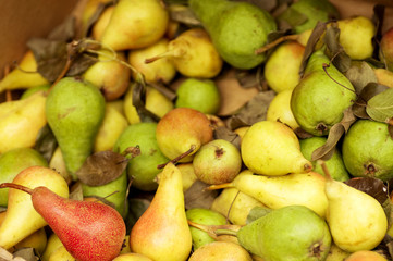 Tasty fresh pear in supermarket