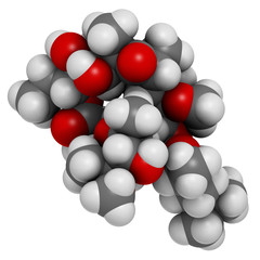 Clarithromycin antibiotic drug (macrolide class)