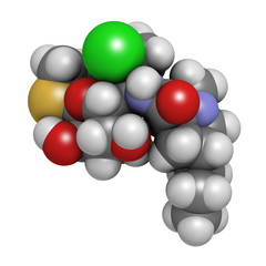 Clindamycin antibiotic drug (lincosamide class)