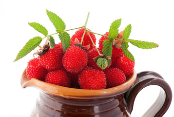 berry garden hybrid of blackberry and raspberry in a clay jug