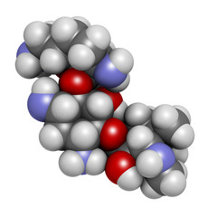 Gentamicin antibiotic drug (aminoglycoside class)