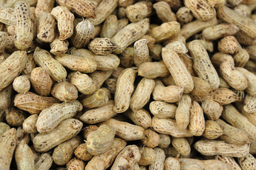 A lot of peanuts in shells, background and patterns.