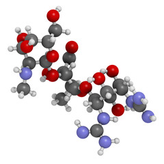 Streptomycin antibiotic drug (aminoglycoside class)