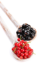 Red and black currant in wooden spoons isolated on white
