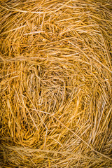 Dry hay closeup image as natural background.