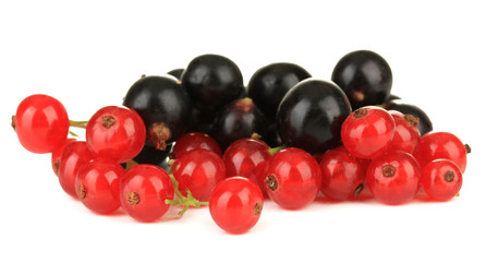 Red and black currant isolated on white
