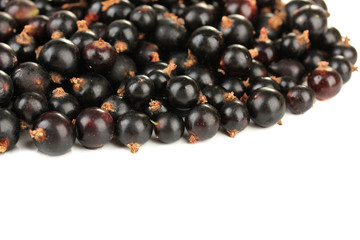 Black currant isolated on white