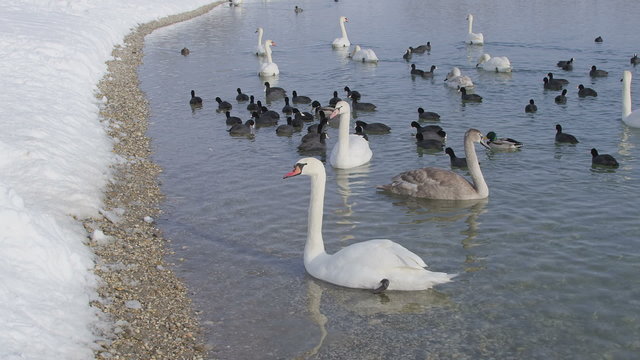zagreb, jarun lake