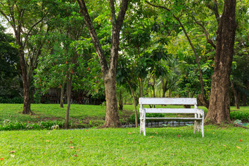 wood bench in green park