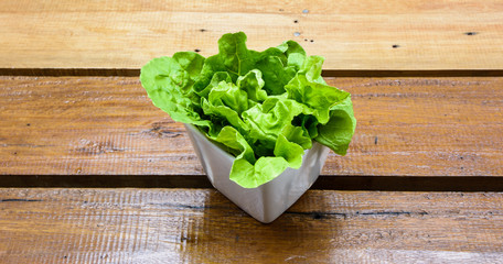 vegetable lettuce in cup
