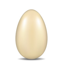 Realistic egg