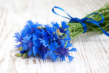 Cornflower