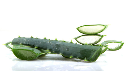 Aloe vera plant isolated on white