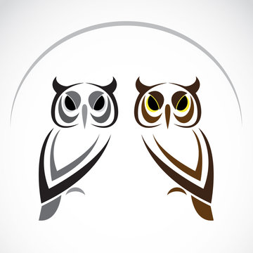 Vector image of an owl