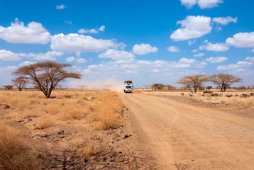 Fotobehang Car with people in the African desert © Belikova Oksana