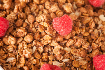 muesli with berries
