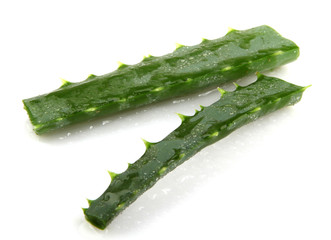 Aloe vera plant isolated on white