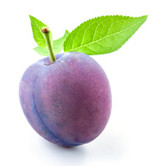 Plum