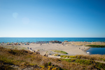 vintage sea landscape