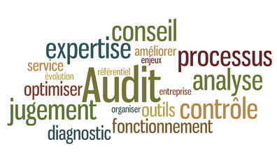 Obraz premium Nuage de mots : Audit