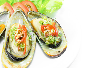 New Zealand green mussels on white plate
