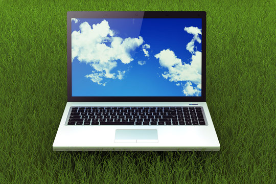 laptop on grass. Concept