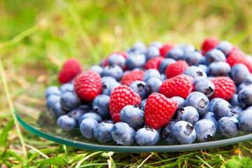 Plate of blueberries and raspberries