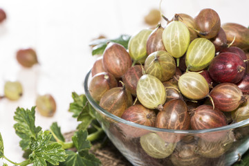 Bowl with fresh Gooseberries