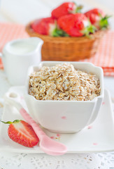 oat flakes