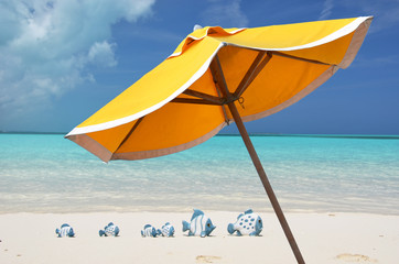 Family of funny fishes on the sandy beach