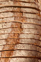 Sliced ​​bread on a wooden board