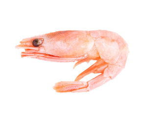 shrimp