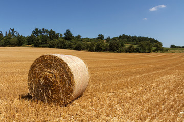 Landscape with hay roll