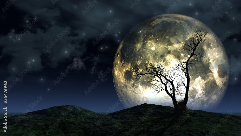 Wall mural tree and moon background