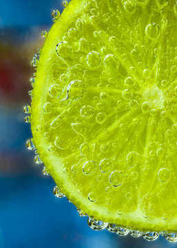 Lime Slice in Sparkling Water