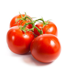 Closeup of tomatoes on the vine isolated on white. Tomato branch