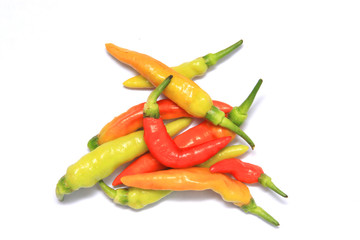 Green and Red Chillies