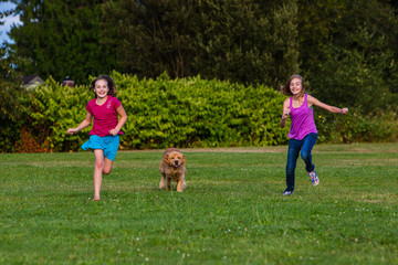 Obraz premium kids racing a dog