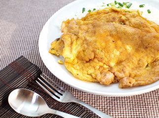 Tasty Omelet and rice